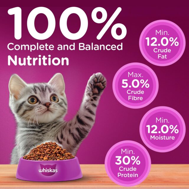Whiskas Junior Mother Cat & Kitten (2–12 Months) Dry Cat Food – Mackerel Flavour (450 g | 1.1 kg | 3 kg) - Image 13