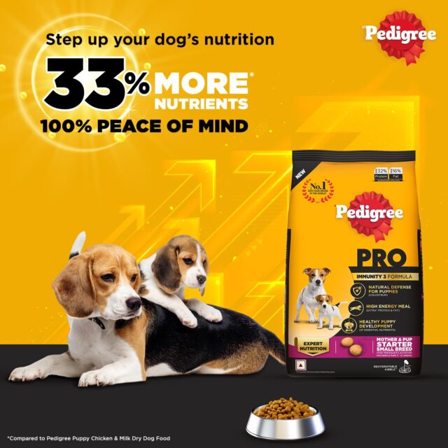 Pedigree PRO Mother & Pup Starter – Small Breed (1.2kg | 3kg) - Image 4