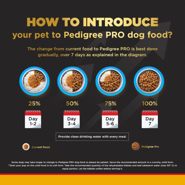 Pedigree PRO Mother & Pup Starter – Small Breed (1.2kg | 3kg) - Image 6
