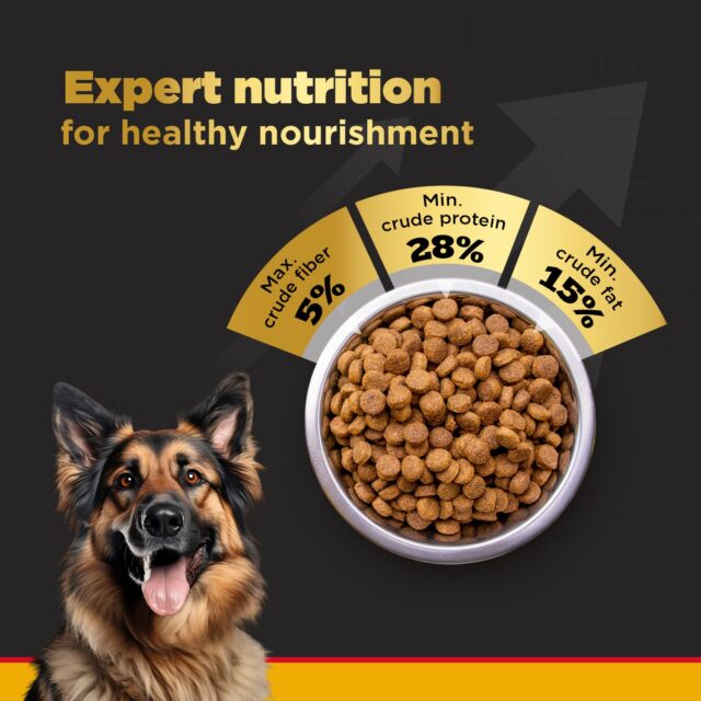 Pedigree PRO Adult Large Breed Dog Food (3kg | 10kg | 20kg) - Image 3