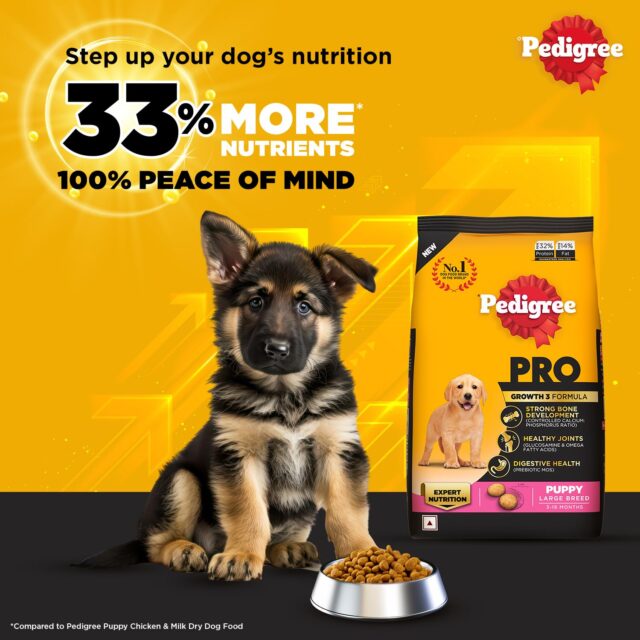 Pedigree PRO Puppy Large Breed Dog Food (3kg | 10kg | 20kg) - Image 3