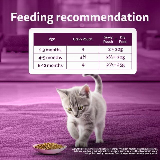Whiskas Junior Kitten (2–12 Months) Tuna in Jelly Wet Cat Food – 80g (Pack of 1 / 14 / 56) - Image 16