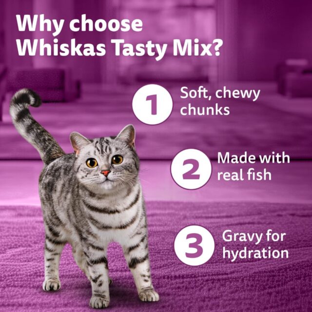 Whiskas Tasty Mix - Chicken With Salmon Wakame Seaweed in 70g (Pack Of 1 / 14 / 28) - Image 14