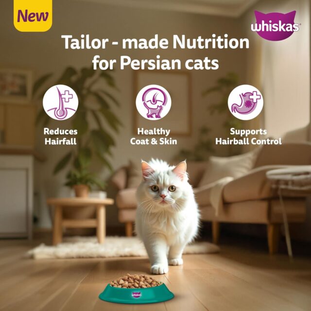 Whiskas Persian Adult (1+ Years) Dry Cat Food  (400 g | 1.1 kg | 2.8 kg | 6.8 kg) - Image 12
