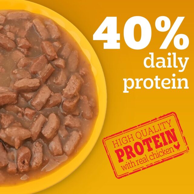 Pedigree Adult Wet Dog Food – Chicken & Liver Chunks in Gravy, 70 g (Pack of 1 / 15 / 30) - Image 11