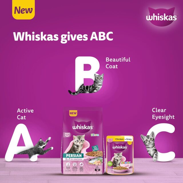 Whiskas Persian Kitten (2–12 Months) Dry Cat Food (400 g | 1.1 kg | 2.8 kg | 6.8 kg) - Image 11