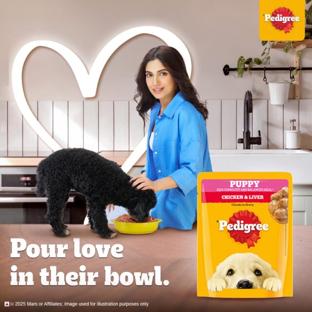 Pedigree Puppy Wet Dog Food – Chicken Chunks in Gravy, 70 g (Pack of 1 / 15 / 30) - Image 15