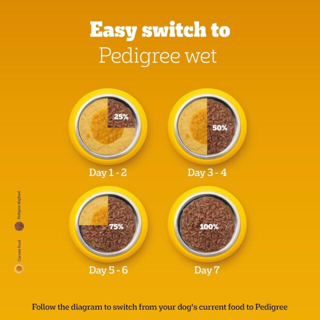 Pedigree Adult Wet Dog Food – Chicken & Liver Chunks in Gravy, 70 g (Pack of 1 / 15 / 30) - Image 4