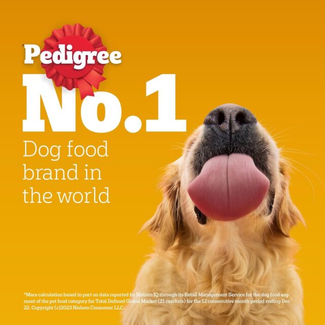 Pedigree Adult Wet Dog Food – Chicken & Liver Chunks in Gravy, 70 g (Pack of 1 / 15 / 30) - Image 10