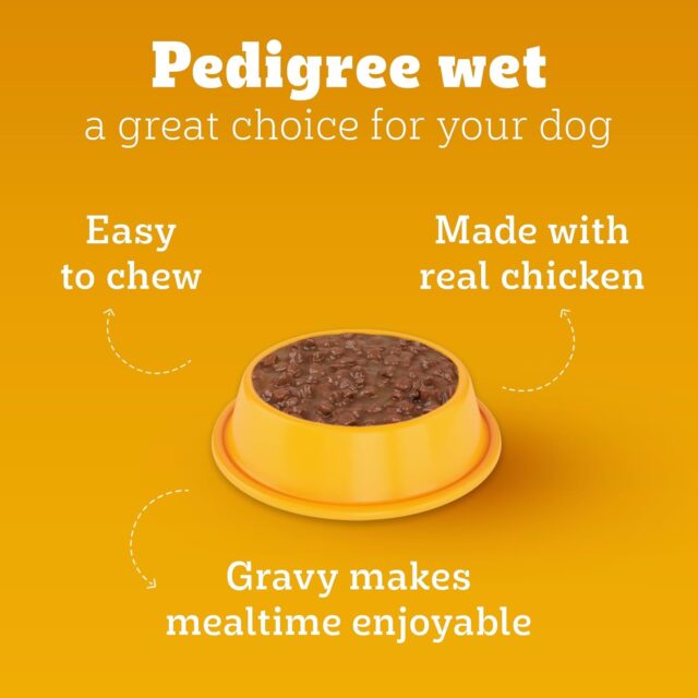 Pedigree Adult Wet Dog Food – Chicken & Liver Chunks in Gravy, 70 g (Pack of 1 / 15 / 30) - Image 5