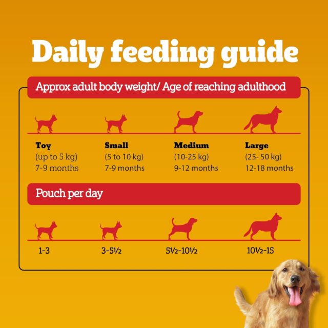 Pedigree Adult Wet Dog Food – Chicken & Liver Chunks in Gravy, 70 g (Pack of 1 / 15 / 30) - Image 9