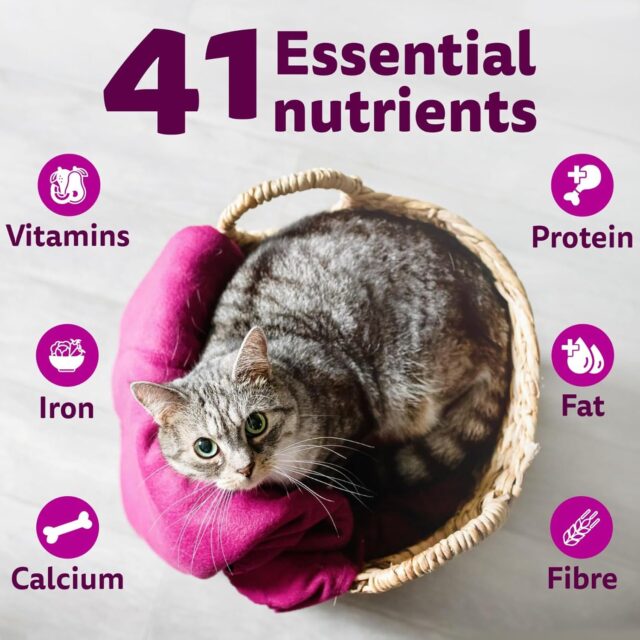 Whiskas Adult Ocean Fish Flavour (480g | 1.2 kg | 3 Kg) - Image 17