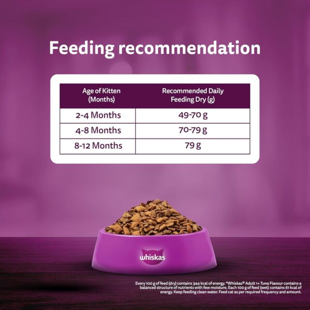 Whiskas Junior Mother Cat & Kitten (2-12 Months) Dry Cat Food, Ocean Fish Flavour (3kg | 6.5kg) - Image 8
