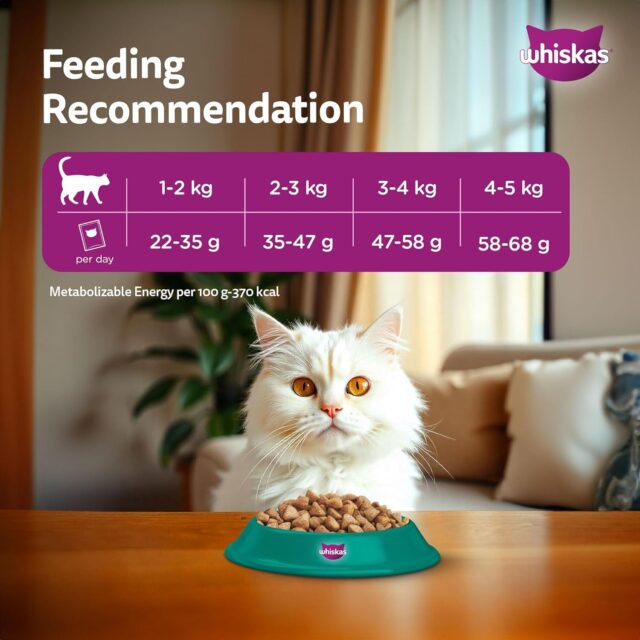 Whiskas Persian Adult (1+ Years) Dry Cat Food  (400 g | 1.1 kg | 2.8 kg | 6.8 kg) - Image 13