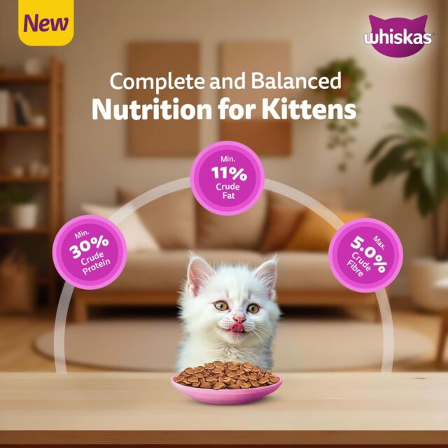 Whiskas Persian Kitten (2–12 Months) Dry Cat Food (400 g | 1.1 kg | 2.8 kg | 6.8 kg) - Image 9