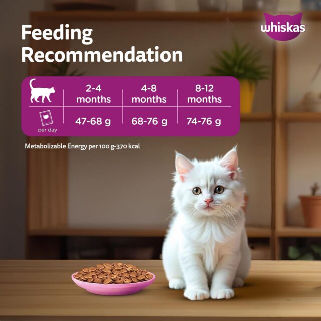 Whiskas Persian Kitten (2–12 Months) Dry Cat Food (400 g | 1.1 kg | 2.8 kg | 6.8 kg) - Image 12