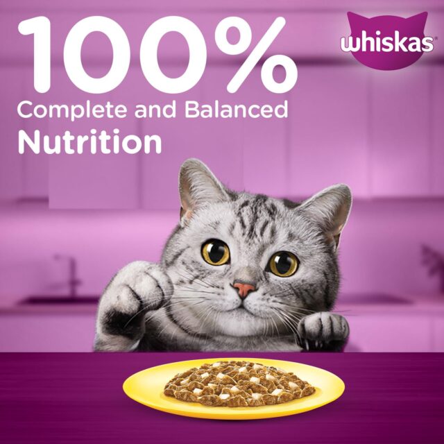 Whiskas Adult (1+ Years) Wet Cat Food – Ocean Fish Flavour 80g (Pack of 1 / 14 / 28) - Image 18