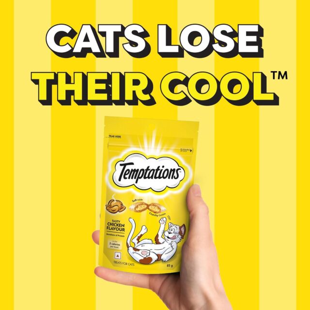 Temptations Tasty Chicken Flavour Cat Treats – 85g Pouch ( Pack of 1 & Pack of 12) - Image 7