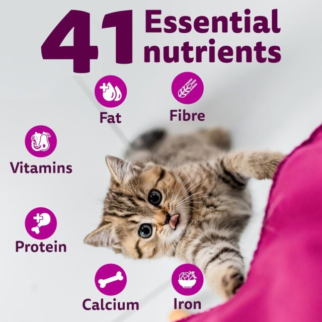 Whiskas Junior Mother Cat & Kitten (2-12 Months) Dry Cat Food, Ocean Fish Flavour (3kg | 6.5kg) - Image 15
