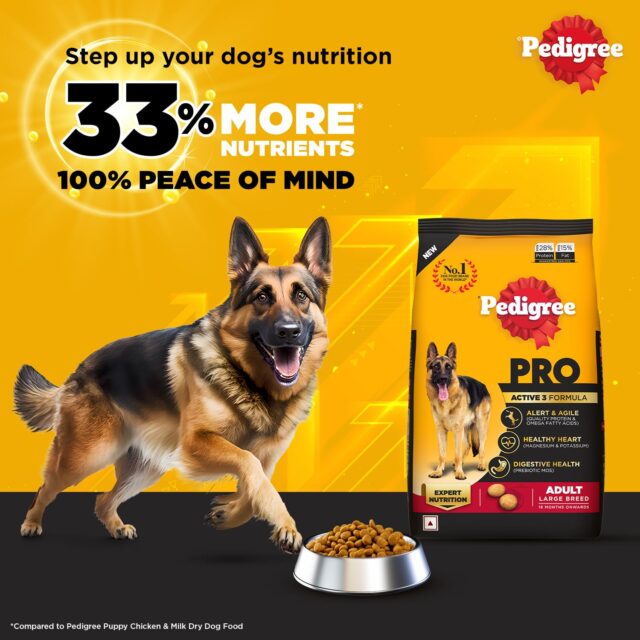 Pedigree PRO Adult Large Breed Dog Food (3kg | 10kg | 20kg) - Image 7