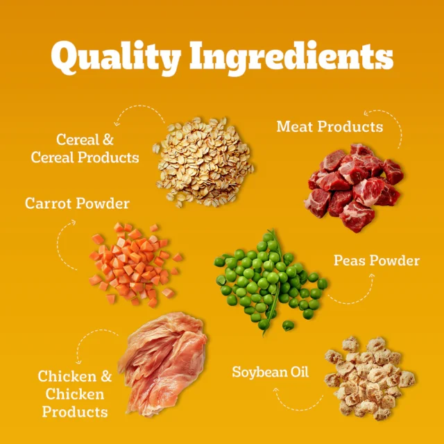 Adult Dry Dog Food – Chicken & Vegetables (370g | 1kg | 2.8kg | 5.5kg) - Image 6