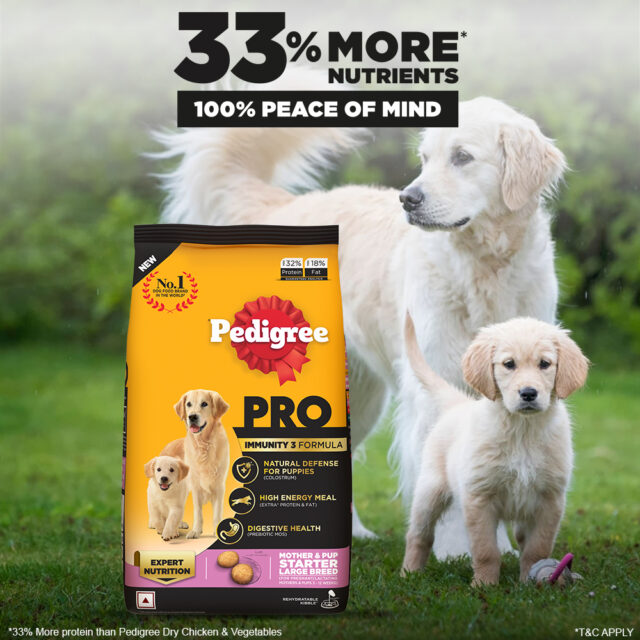Pedigree PRO Mother & Pup Starter Large Breed Dog Food (1.2kg | 3kg | 10kg) - Image 9