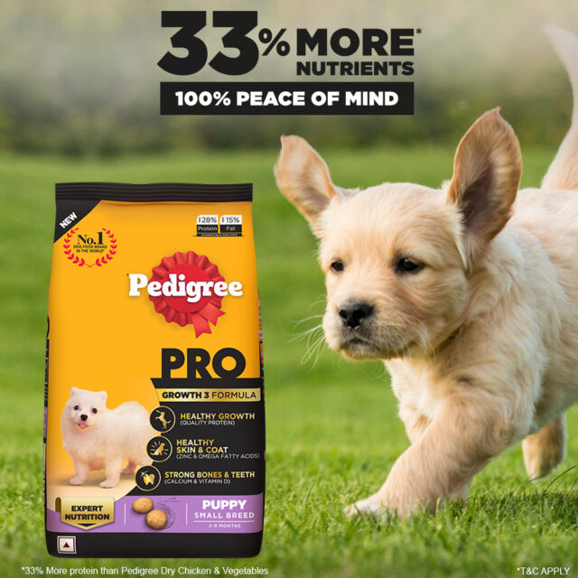 Pedigree PRO Puppy Small Breed Dog Food (1.2kg | 3kg) - Image 7