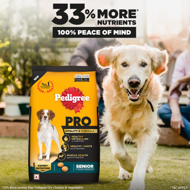 Pedigree PRO Senior Dog Food (1.2kg | 3kg) - Image 3