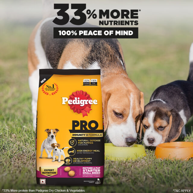 Pedigree PRO Mother & Pup Starter – Small Breed (1.2kg | 3kg) - Image 7