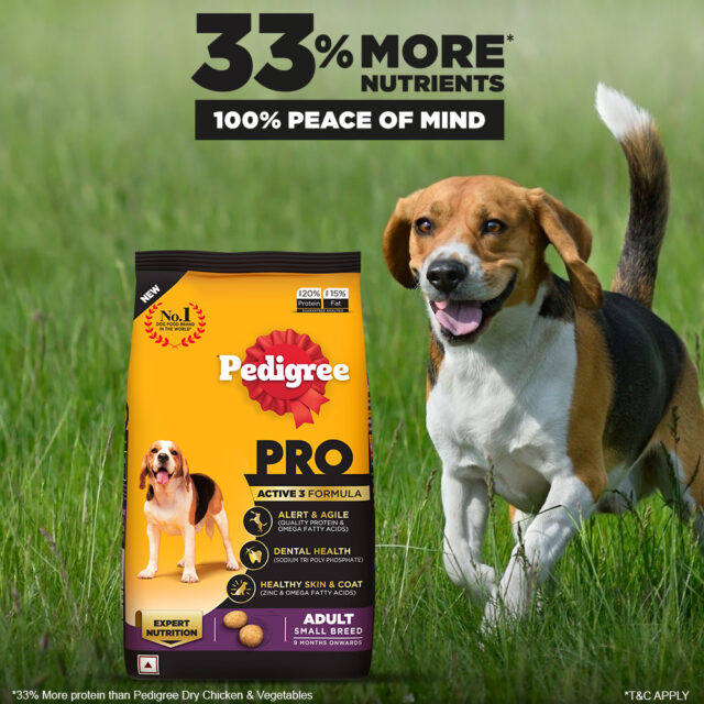 Pedigree PRO Adult Small Breed – Premium Dog Food (1.2kg | 3kg) - Image 7