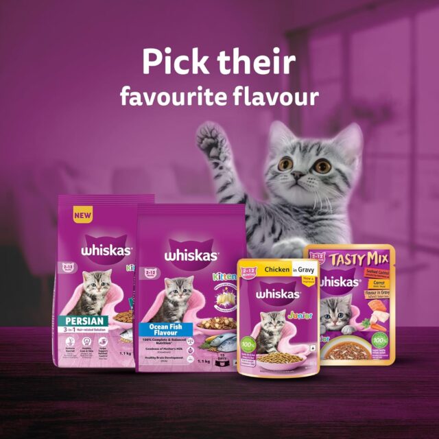 Whiskas Junior Mother Cat & Kitten (2-12 Months) Dry Cat Food, Ocean Fish Flavour (3kg | 6.5kg) - Image 7