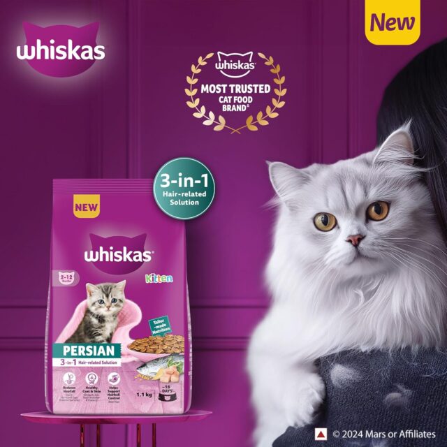 Whiskas Persian Kitten (2–12 Months) Dry Cat Food (400 g | 1.1 kg | 2.8 kg | 6.8 kg) - Image 2