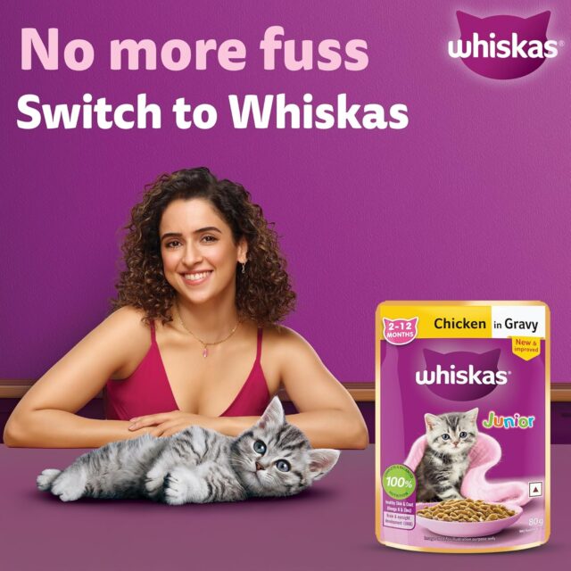 Whiskas Junior Kitten (2-12 Months) Chicken in Gravy – 80g (Pack of 1 / 14 / 56) - Image 4
