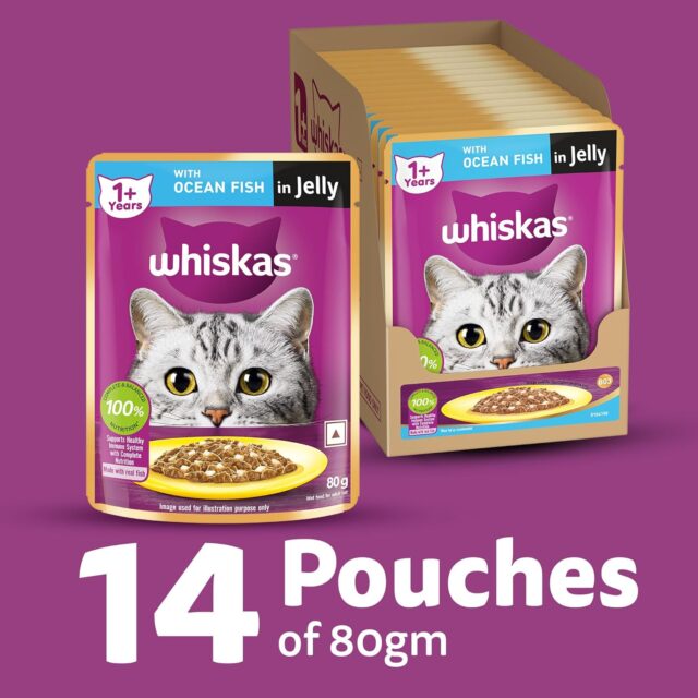 Whiskas Adult (1+ Years) Wet Cat Food – Ocean Fish Flavour 80g (Pack of 1 / 14 / 28) - Image 6