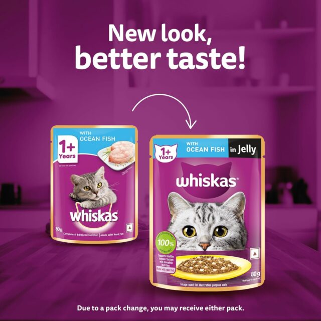 Whiskas Adult (1+ Years) Wet Cat Food – Ocean Fish Flavour 80g (Pack of 1 / 14 / 28) - Image 3
