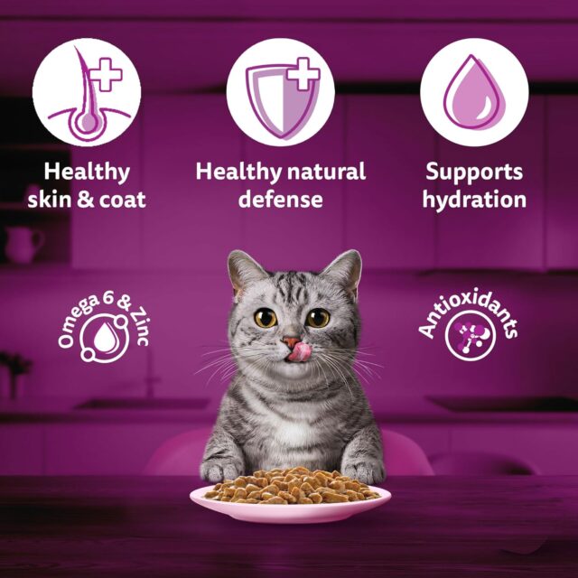 Whiskas Adult (1+ Years) Wet Cat Food – Salmon in Gravy 80g (Pack of 1 / 14 / 56) - Image 8