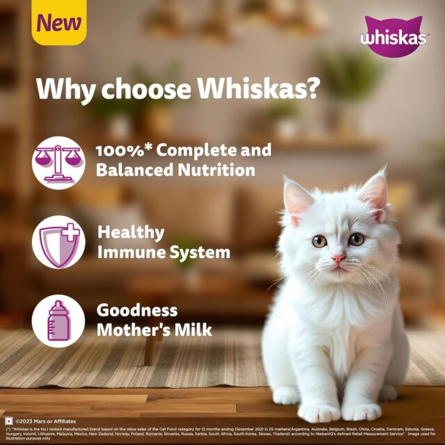 Whiskas Persian Kitten (2–12 Months) Dry Cat Food (400 g | 1.1 kg | 2.8 kg | 6.8 kg) - Image 13