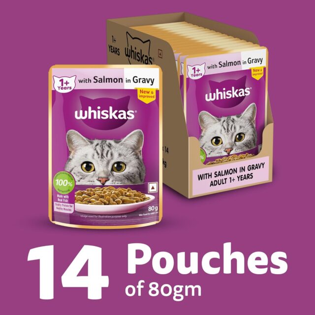 Whiskas Adult (1+ Years) Wet Cat Food – Salmon in Gravy 80g (Pack of 1 / 14 / 56) - Image 4