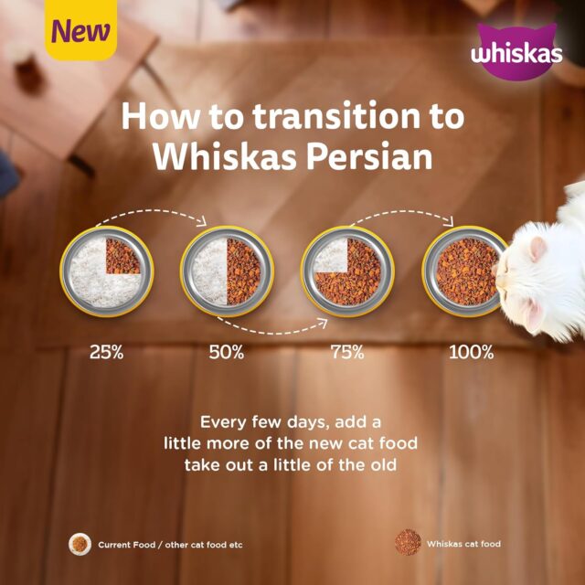Whiskas Persian Kitten (2–12 Months) Dry Cat Food (400 g | 1.1 kg | 2.8 kg | 6.8 kg) - Image 5
