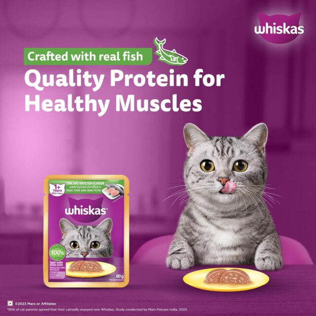 Whiskas Adult (1+ Years) Wet Cat Food, Tuna & White Fish Flavour 80g (Pack of 1 / 14 / 28) - Image 19