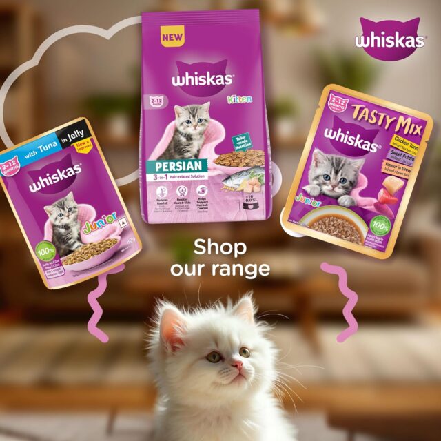 Whiskas Persian Kitten (2–12 Months) Dry Cat Food (400 g | 1.1 kg | 2.8 kg | 6.8 kg) - Image 10