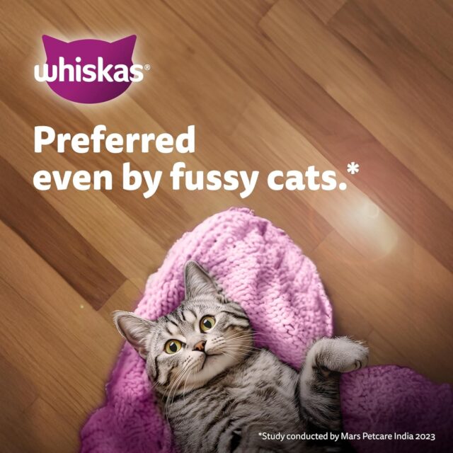 Whiskas Junior Kitten (2–12 Months) Tuna in Jelly Wet Cat Food – 80g (Pack of 1 / 14 / 56) - Image 17