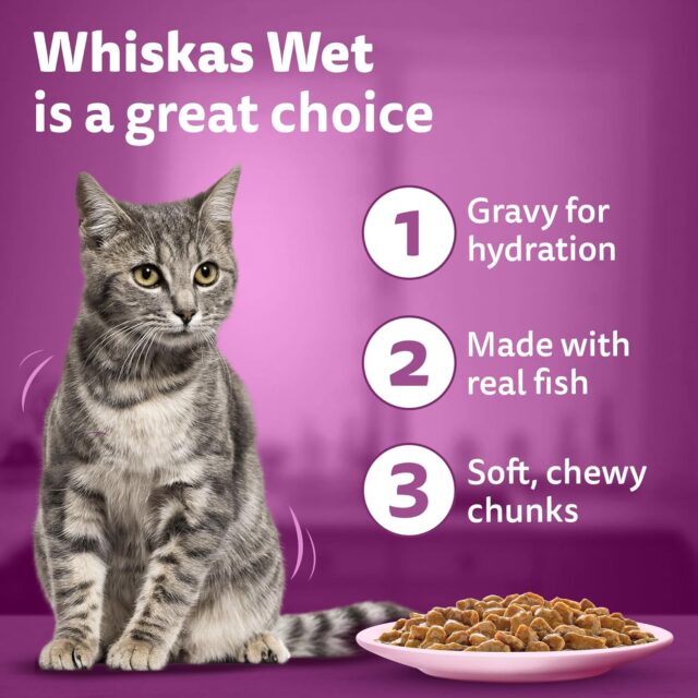 Whiskas Adult (1+ Years) Wet Cat Food – Salmon in Gravy 80g (Pack of 1 / 14 / 56) - Image 11