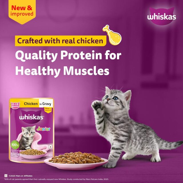 Whiskas Junior Kitten (2-12 Months) Chicken in Gravy – 80g (Pack of 1 / 14 / 56) - Image 18