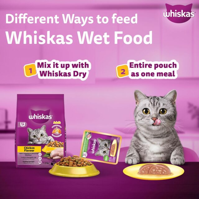 Whiskas Adult (1+ Years) Wet Cat Food, Tuna & White Fish Flavour 80g (Pack of 1 / 14 / 28) - Image 8