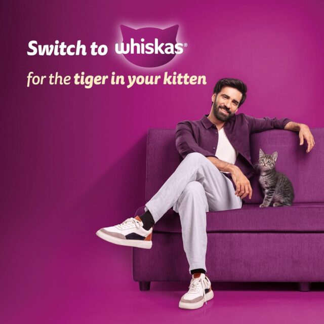 Whiskas Junior Mother Cat & Kitten (2-12 Months) Dry Cat Food, Ocean Fish Flavour (3kg | 6.5kg) - Image 11