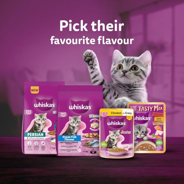Whiskas Junior Kitten (2-12 Months) Chicken in Gravy – 80g (Pack of 1 / 14 / 56) - Image 6
