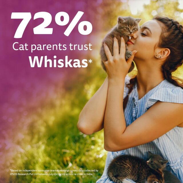 Whiskas Junior Mother Cat & Kitten (2–12 Months) Dry Cat Food – Mackerel Flavour (450 g | 1.1 kg | 3 kg) - Image 11