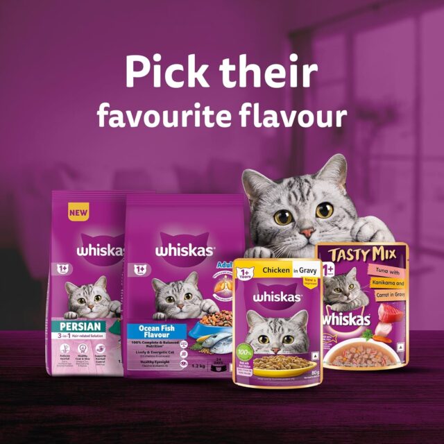 Whiskas Adult Chicken in Gravy – 80g (Pack of 1 / 14 / 56) - Image 7