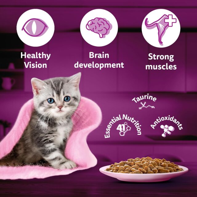 Whiskas Junior Kitten (2–12 Months) Tuna in Jelly Wet Cat Food – 80g (Pack of 1 / 14 / 56) - Image 14